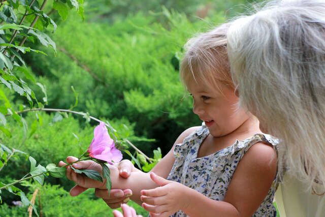 Гостиница Ява Анапа-85